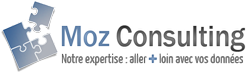 Logo Moz Consulting