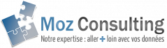 Moz Consulting